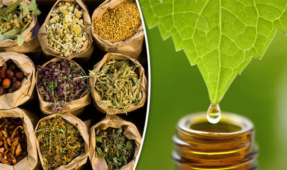 ayurvedic companies