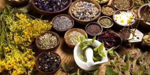 Ayurvedic PCD Companies in UP