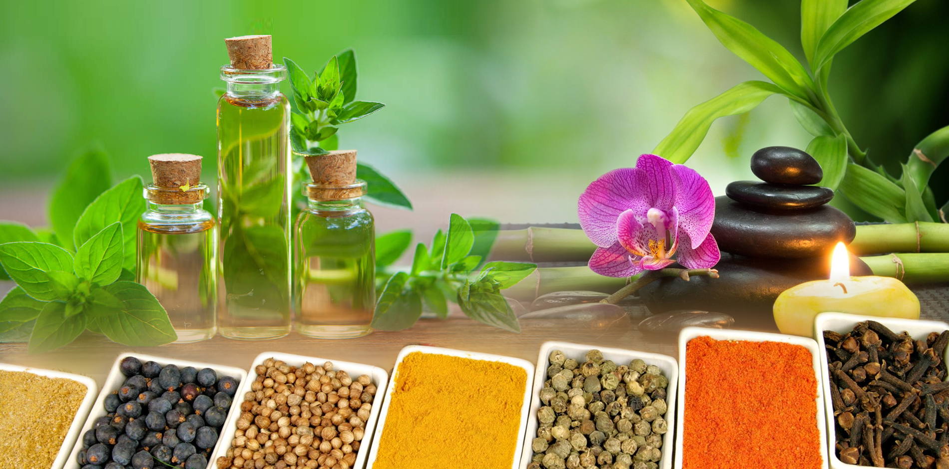 Ayurvedic Medicine Manufacturers in Gurgaon Herbal Medicines