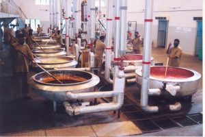 how to start ayurvedic medicine manufacturing unit