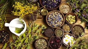 top ayurvedic companies in world