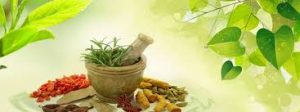 Ayurvedic Cream Third Party Manufacturers in India