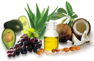 Ayurvedic Lotion Manufacturers In India