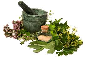 Top 10 Ayurvedic Companies In Chandigarh 