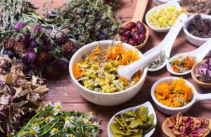 Ayurvedic Medicine Manufacturing Company In Panipat