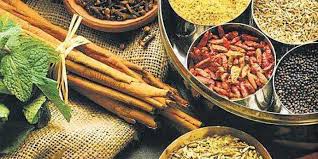 Ayurvedic Body Lotion Manufacturers in India