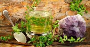 Best Brain Tonic Manufacturers in India