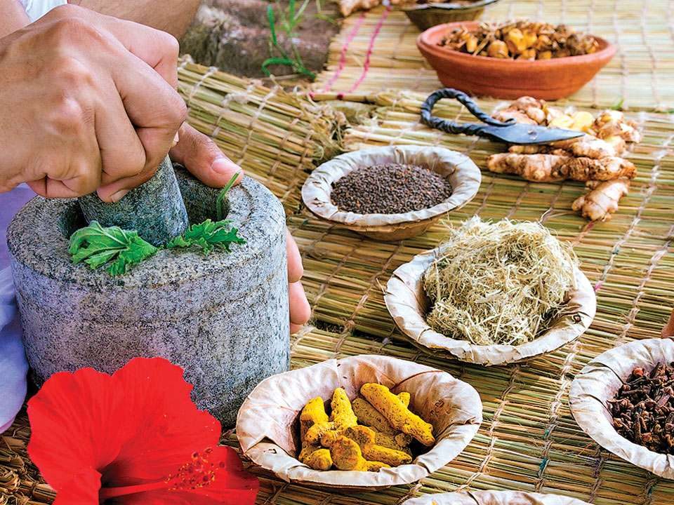 Ayurvedic PCD Company In Jamshedpur