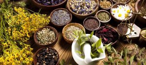 Ayurvedic Medicine Manufacturers In Aligarh