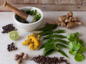 Ayurvedic Medicine Manufacturers In Jalandhar