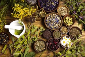 Ayurvedic Medicine Manufacturers In Noida
