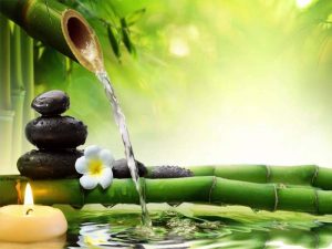 Ayurvedic Medicine Manufacturers In Mangalore