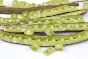Moringa Tablet Manufacturers in India