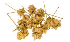 Gokshura Tablets Manufacturer in India