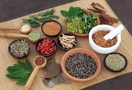 Ayurvedic Medicine Manufacturers in Warangal