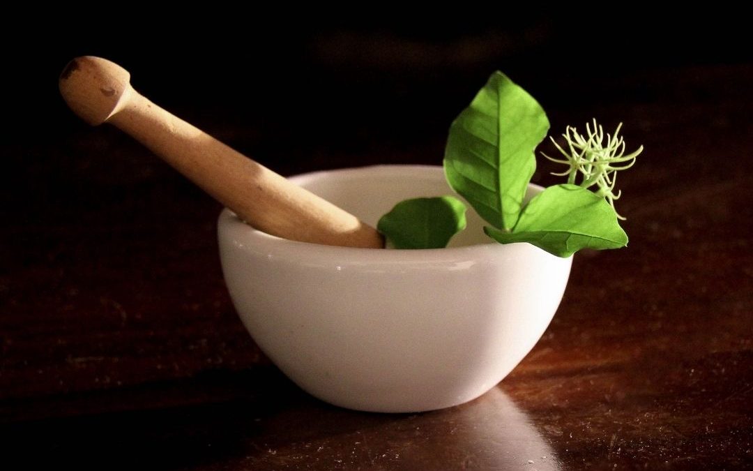 Ayurvedic PCD Company In Mangalore