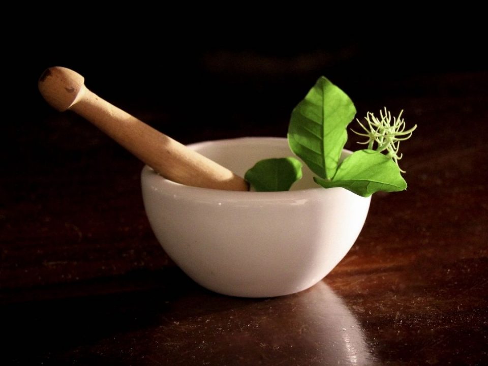 Ayurvedic PCD Company In Mangalore