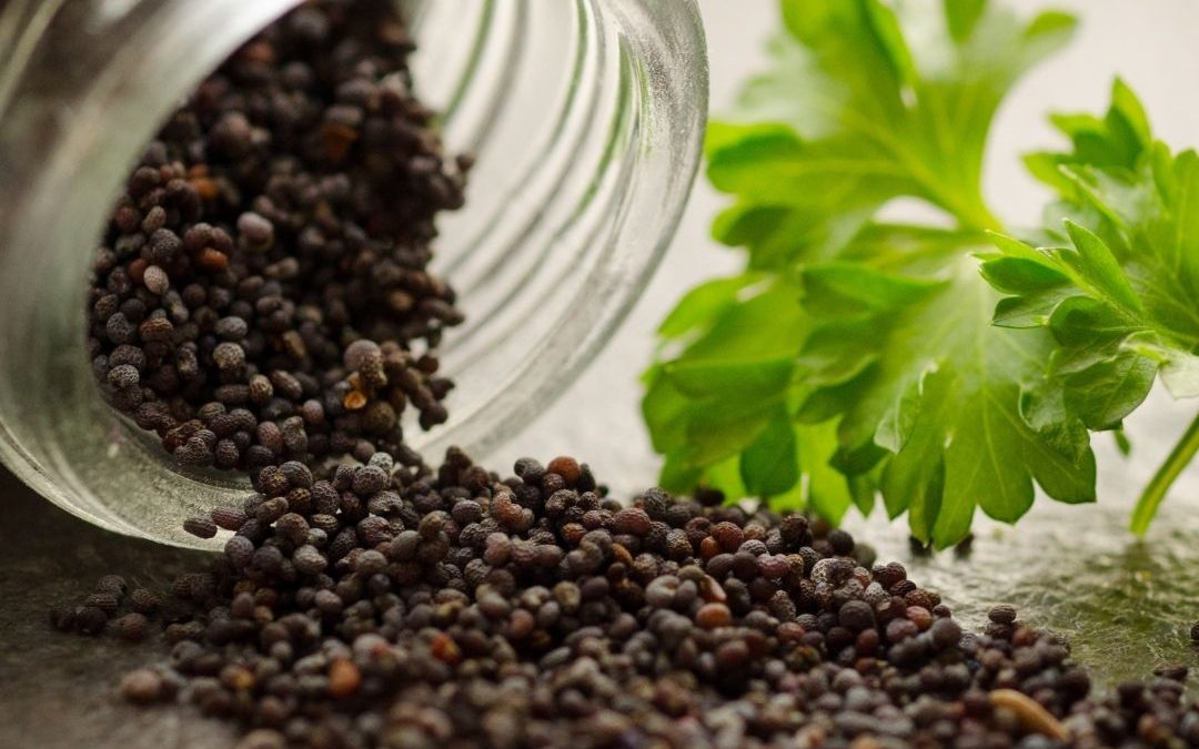 Ayurvedic PCD Company In Prayagraj