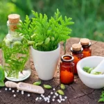 Ayurvedic PCD Company In Mysore