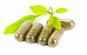 Ayurvedic Capsules Manufacturer in Baddi