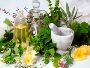 Ayurvedic/Herbal PCD Companies In Gujarat 
