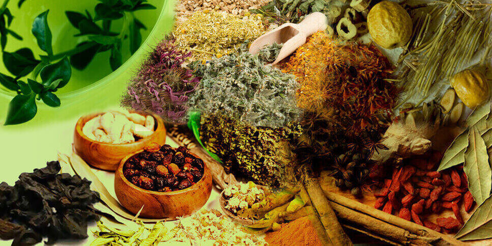 Ayurvedic PCD Companies in Pune