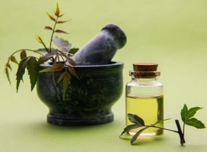 ayurvedic medicine manufacturers in Haridwar