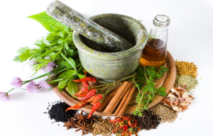 Ayurvedic Medicine Wholesalers in Delhi