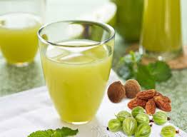 Best Triphala Juice Manufacturers in India