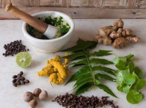 Ayurvedic Medicine Manufacturers In Jalandhar