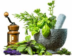 Ayurvedic Third Party Manufacturers in Patiala