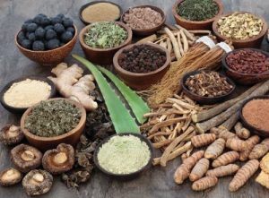 Ayurvedic Manufacturers in Bhind