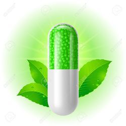 Ayurvedic PCD Companies in Kozhikode