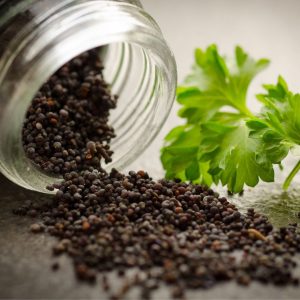 Ayurvedic PCD Company In Prayagraj