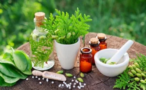 Ayurvedic PCD Company In Mysore