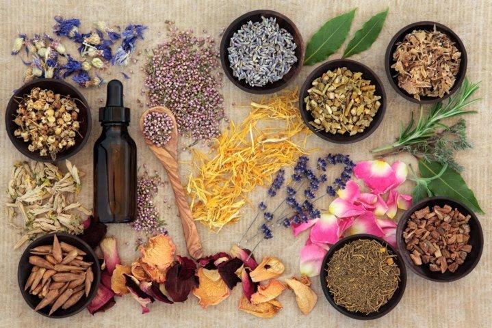 Ayurvedic PCD Company In Rajasthan